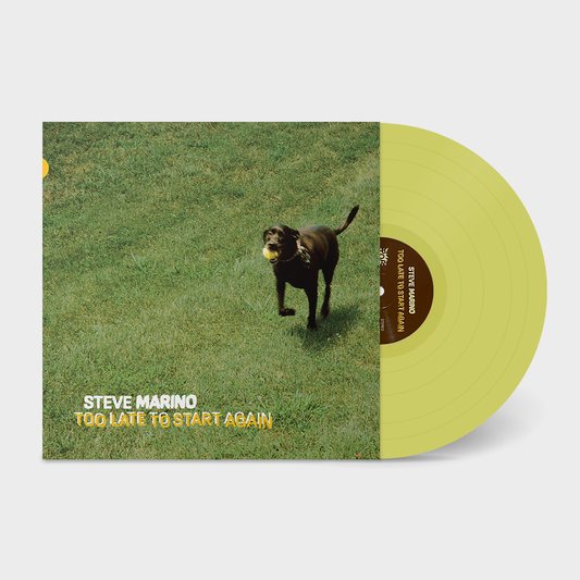 ‘Too Late To Start Again’ LP
